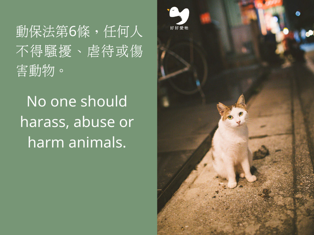 好好愛牠任務一-宣導不做傷害動物身心的行為