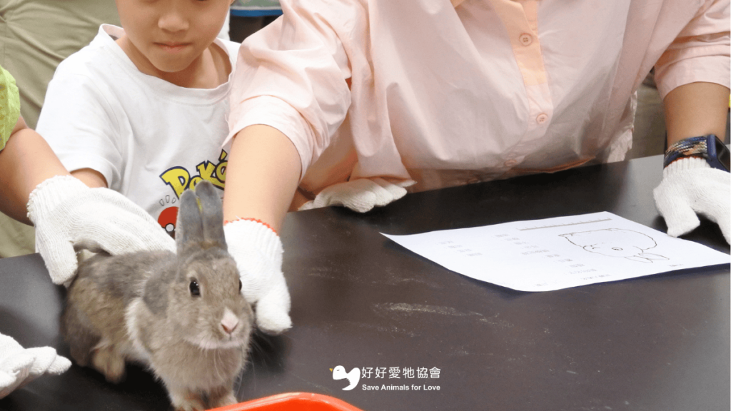 一件好事愛動物
