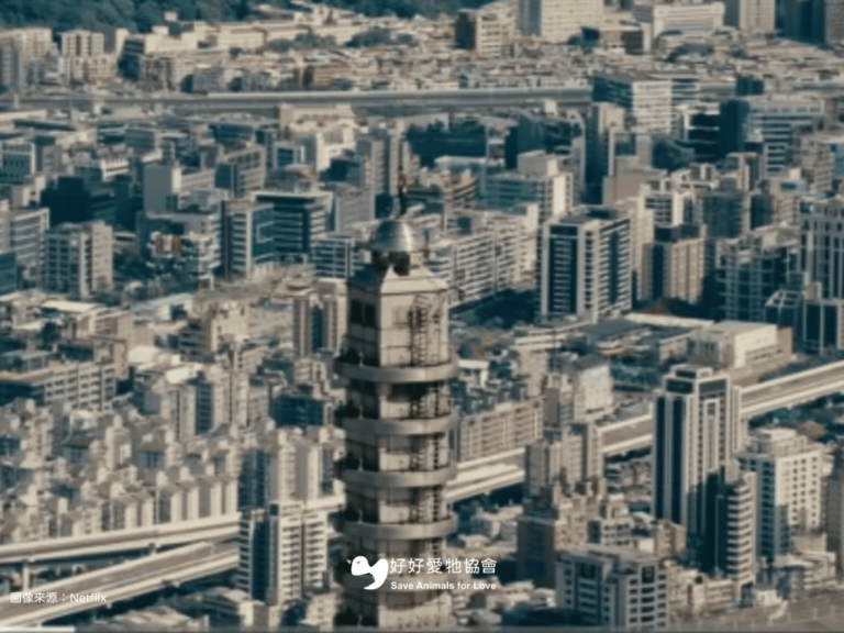 【向上的力量—打破吃素迷思】