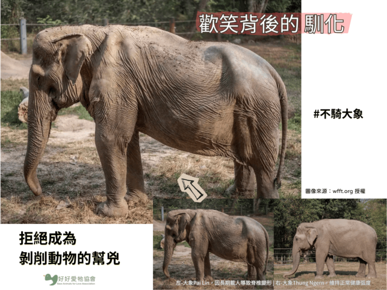 【歡笑背後的馴化—拒絕成為剝削動物的幫兇】