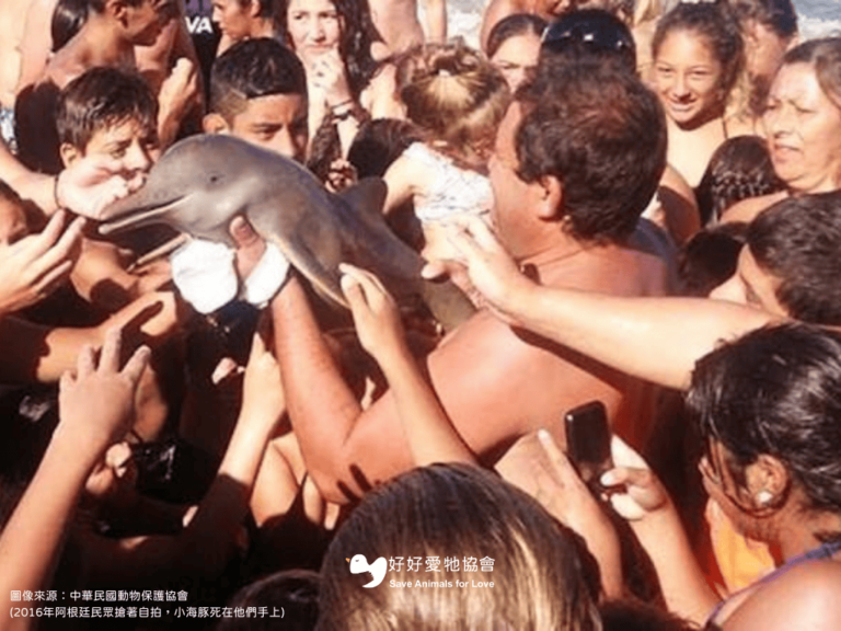 【揮之不去的夢魘—流量密碼的假象】