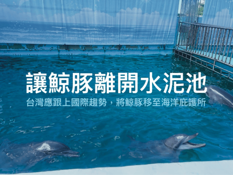 【讓鯨豚離開水泥池，台灣不能再等】